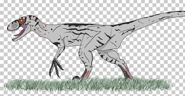 Velociraptor Deinonychus Tyrannosaurus Jurassic World Evolution Jurassic Park PNG, Clipart, Animal, Animal Figure, Blog, Deinonychus, Dinosaur Free PNG Download