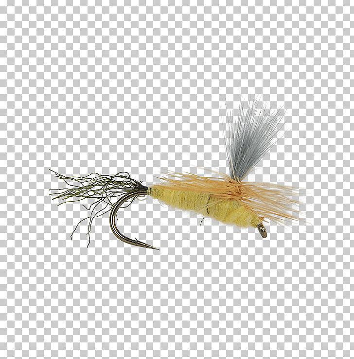 Artificial Fly PNG, Clipart, Artificial Fly, Fishing Bait, Fly, Gift Card, Insect Free PNG Download