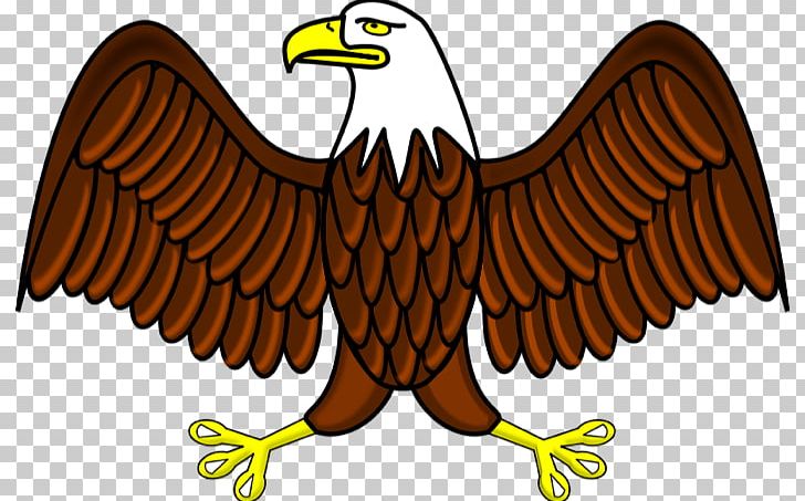 Bald Eagle Philippine Eagle Free Content PNG, Clipart, Accipitriformes, Animal Figure, Animation, Bald Eagle, Beak Free PNG Download