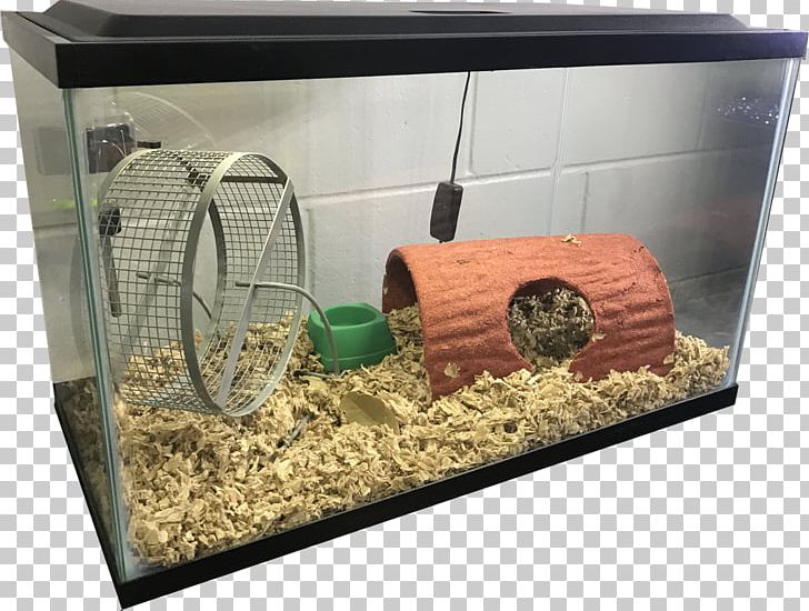 aquarium gerbil cage
