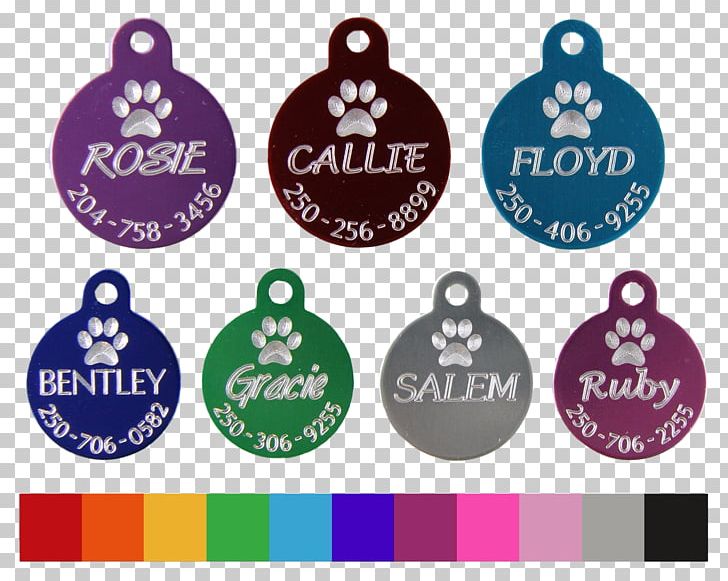 Dog Tag Cat Pet Tag Horse PNG, Clipart, Boy, Cat, Craft, Dog, Dog Tag Free PNG Download