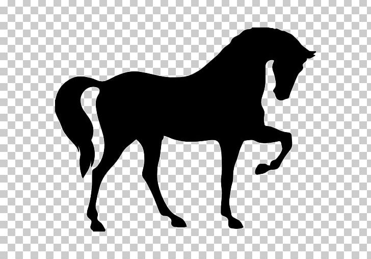 Horse Rearing PNG, Clipart, Animals, Autocad Dxf, Black, Colt, Encapsulated Postscript Free PNG Download