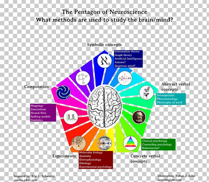 Neuroscience Cognitive Science Pentagon An Essay Concerning Human Understanding PNG, Clipart, Area, Article, Artificial Neural Network, Brain, Brand Free PNG Download