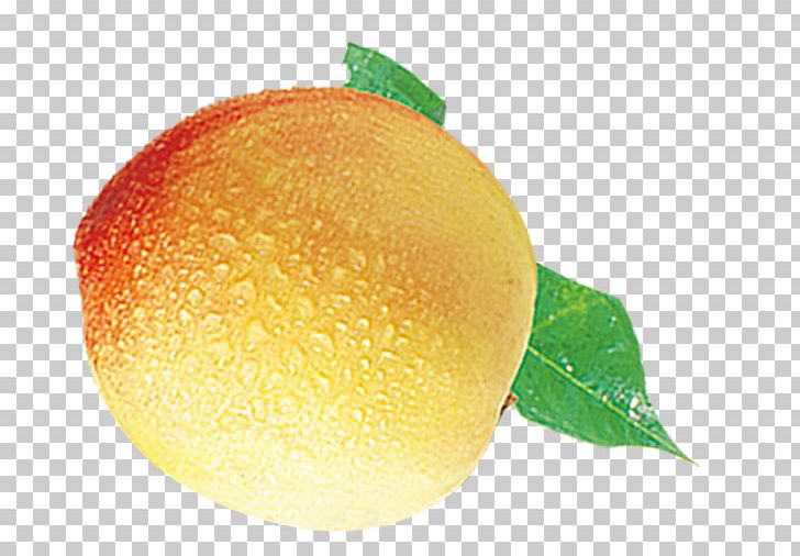Blood Orange Grapefruit Peach PNG, Clipart, Agriculture, Apple, Auglis, Citrus, Food Free PNG Download