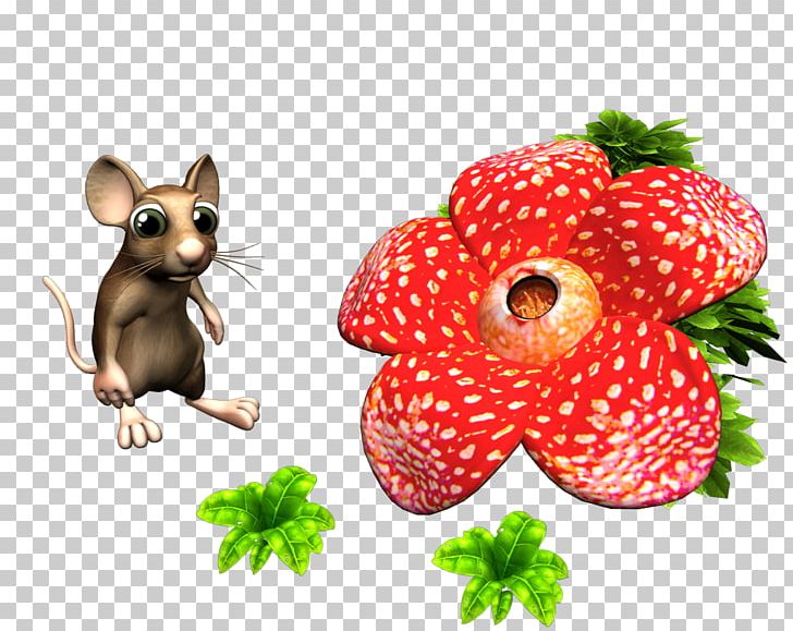 Farmerama Bigpoint Games Campos Computer Mouse .de PNG, Clipart, Animal, Ball, Bigpoint Games, Com, Computer Mouse Free PNG Download