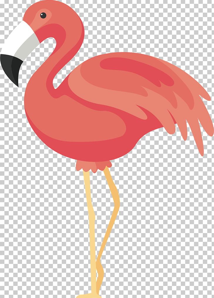 Flamingos Bird Icon PNG, Clipart, Beak, Big Legs, Bird, Chicken, Clip Art Free PNG Download