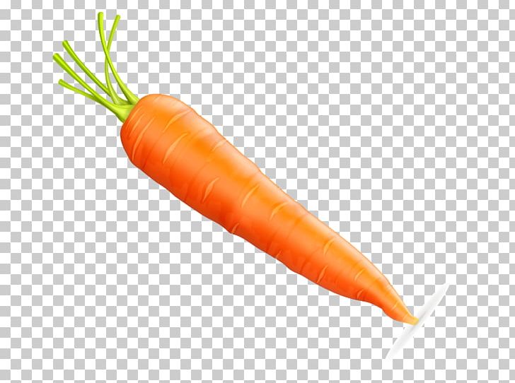 Baby Carrot Vecteur Euclidean PNG, Clipart, Bunch Of Carrots, Carrot, Carrot Cartoon, Carrot Juice, Carrots Free PNG Download