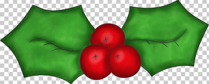 Common Holly Christmas PNG, Clipart, Christmas, Christmas Decoration, Christmas Ornament, Common Holly, Food Free PNG Download