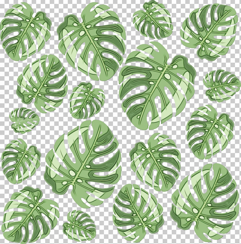 Leaf Tree Pattern Science Plant Structure PNG, Clipart, Biology, Leaf, Paint, Plants, Plant Structure Free PNG Download