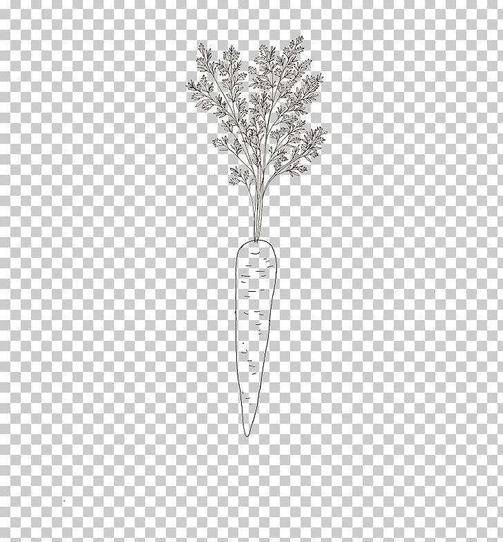 Carrot Drawing PNG, Clipart, Balloon Cartoon, Black And White, Boy Cartoon, Carrot, Cartoon Free PNG Download