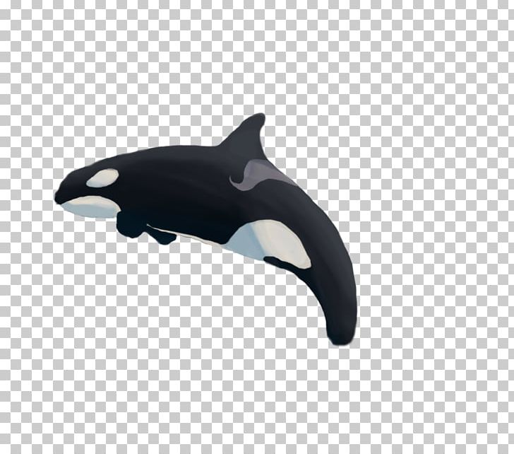 Dolphin Product Design Whale PNG, Clipart, Black, Black M, Dolphin, Fin, Mammal Free PNG Download