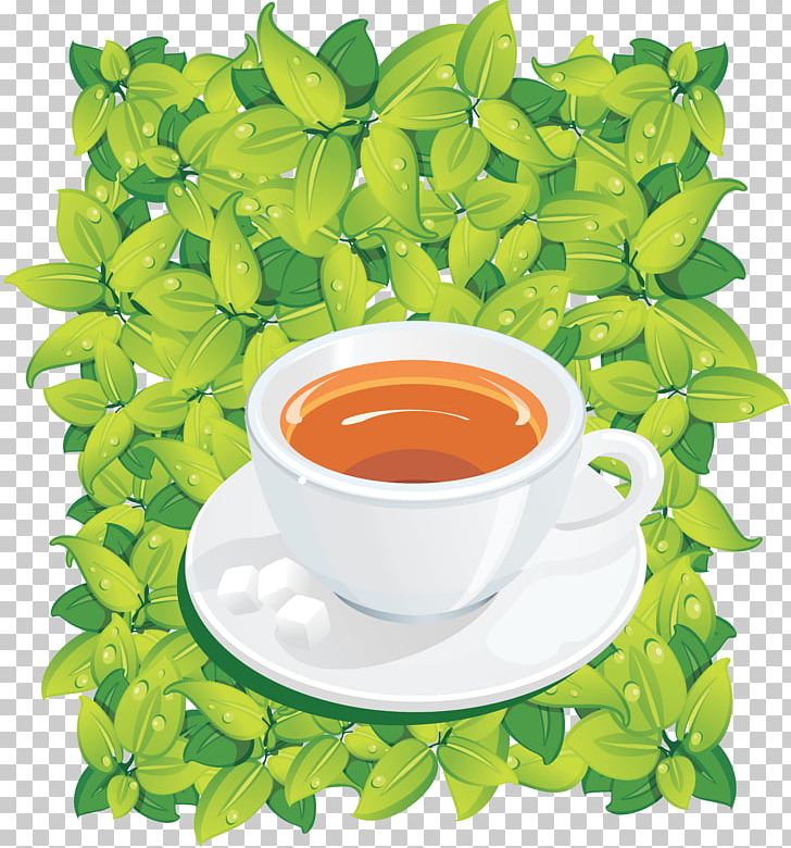 Green Tea Encapsulated PostScript Chrysanthemum Tea PNG, Clipart, Alternative Medicine, Chrysanthemum Tea, Cup, Design Elements, Download Free PNG Download