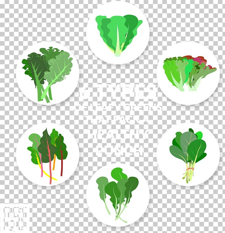 Leaf Vegetable Lettuce Collard Greens PNG, Clipart, Banana Leaf, Collard Greens, Cooking, Food, Health Free PNG Download