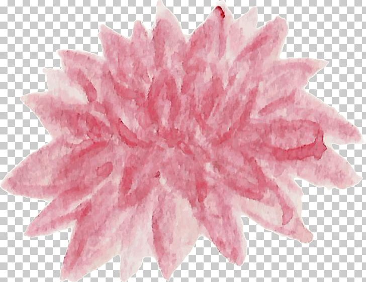 Petal Cut Flowers Pink M Dahlia Chrysanthemum PNG, Clipart, Chrysanthemum, Chrysanths, Cut Flowers, Dahlia, Dahlia Watercolor Free PNG Download