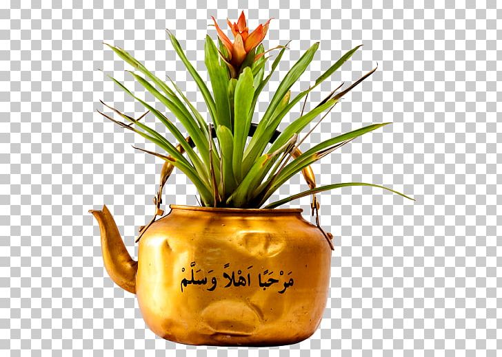 Pineapple Flowerpot PNG, Clipart, Ananas, Bromeliaceae, Experimental Film, Flower, Flowerpot Free PNG Download