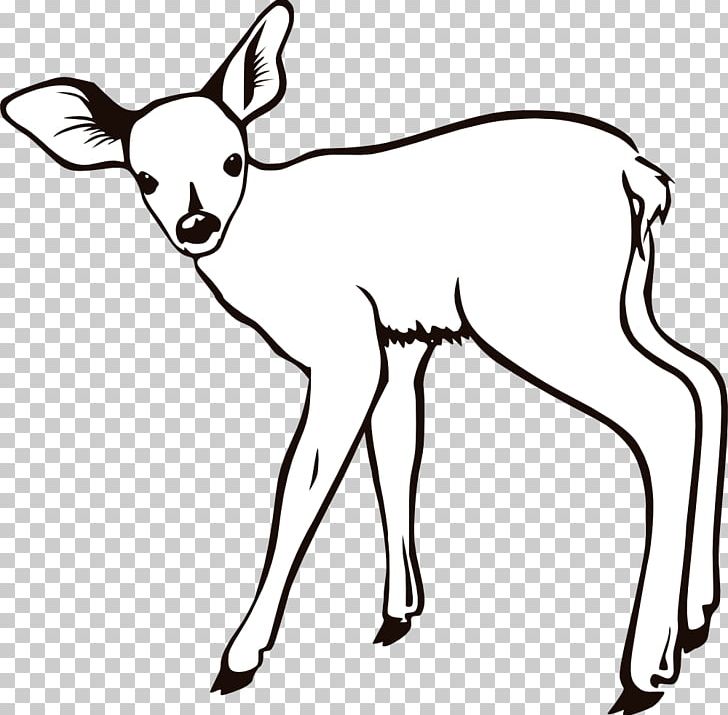 White-tailed Deer Coloring Book Infant Child PNG, Clipart, Adult, Animal, Artwork, Black And White, Carnivoran Free PNG Download
