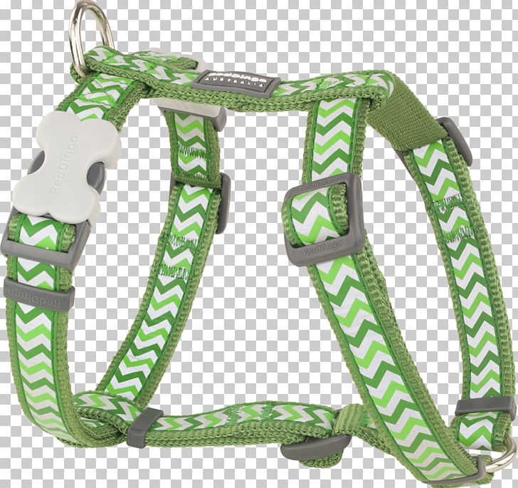 Dog Harness Horse Harnesses Puppy Dingo PNG, Clipart, Animals, Centimeter, Dingo, Dog, Dog Collar Free PNG Download