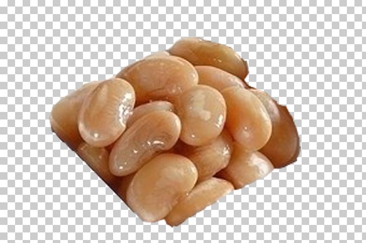 Salt Common Bean Kidney Bean PNG, Clipart, Al Forno, Bake, Baked, Baking, Bean Free PNG Download