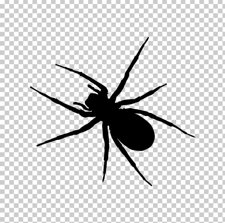 Silhouette PNG, Clipart, Animals, Arachnid, Art, Arthropod, Black And White Free PNG Download