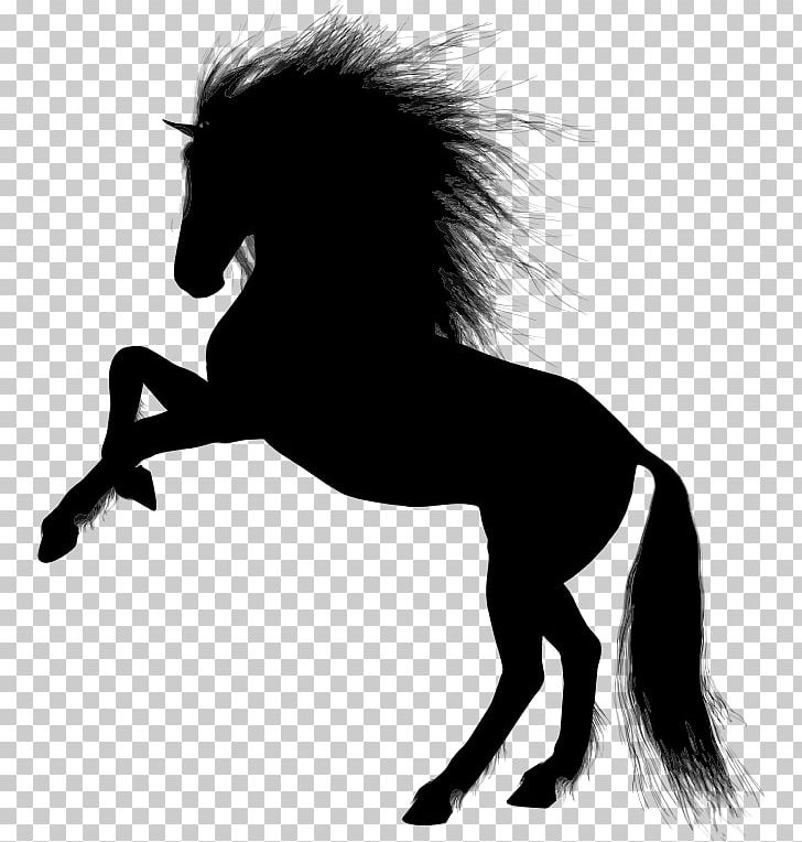 Pony Mustang PNG, Clipart, Colt, Desktop Wallpaper, Download, Equestrian, Fictional Character Free PNG Download