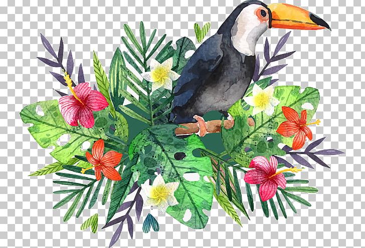 Watercolor Painting Drawing PNG, Clipart, Art, Beak, Bird, Branch, Desktop Wallpaper Free PNG Download