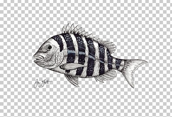 Fly Fishing Perch Angling PNG, Clipart, 12 April, Angling, Art, Artwork, Convict Free PNG Download