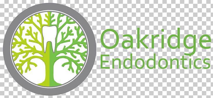 Oakridge Centre V5Z 2M9 Endodontics Dentistry PNG, Clipart, Appointment, Beam, Brand, Circle, Cone Free PNG Download