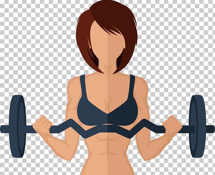 Physical Exercise Physical Fitness Weight Training Weight Loss Barbell PNG, Clipart, Abdomen, Active Undergarment, Arm, Beauty, Business Woman Free PNG Download