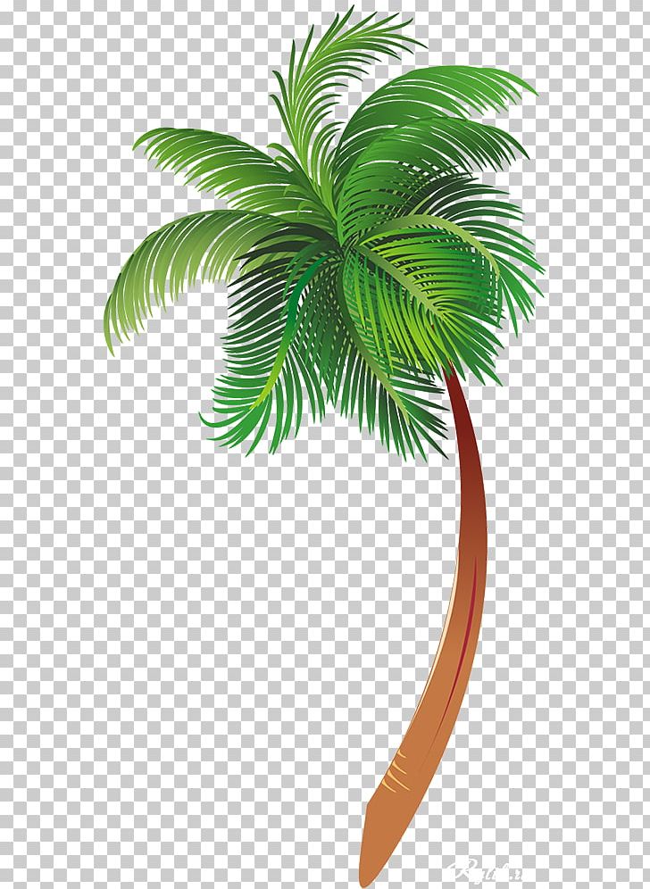 Arecaceae Tree PNG, Clipart, Arecaceae, Arecales, Cartoon, Coconut, Date Palm Free PNG Download
