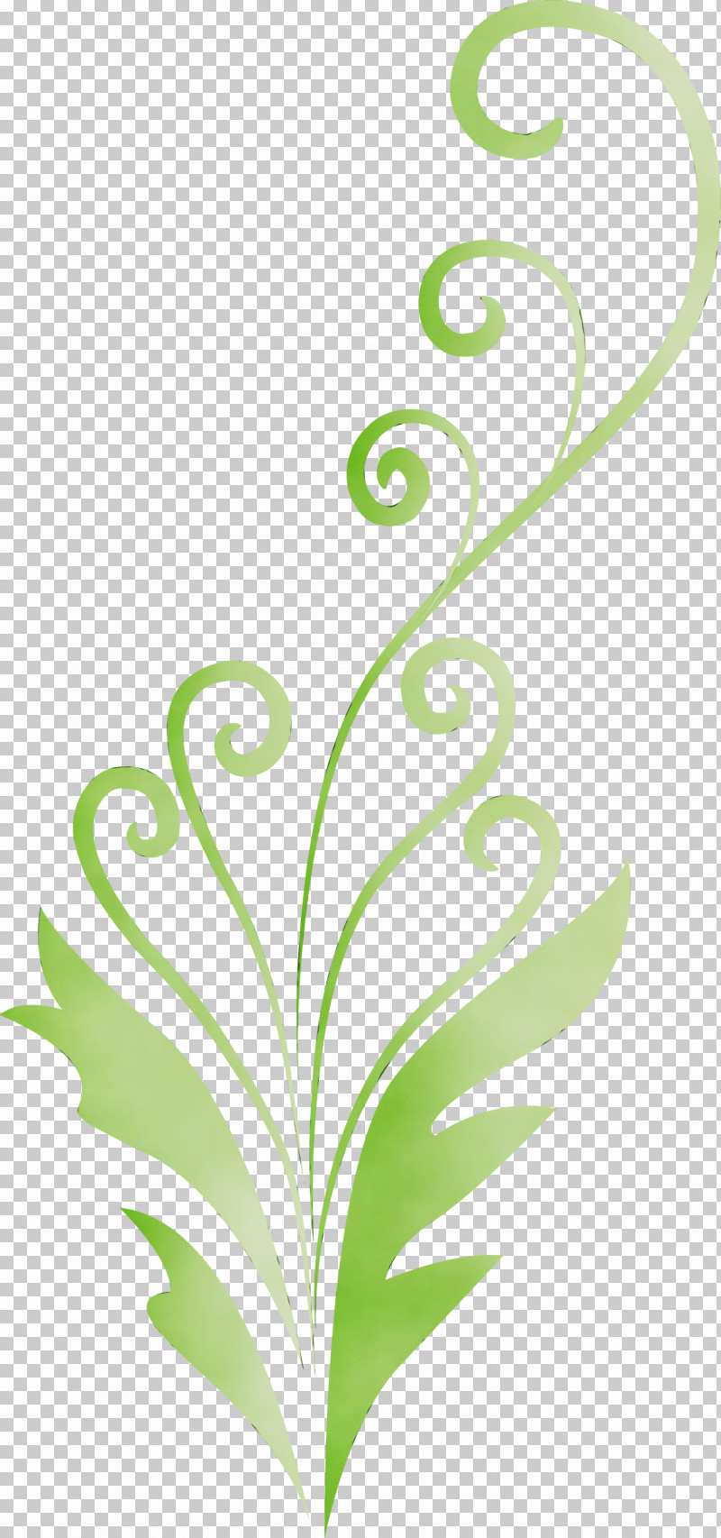 Green Leaf Plant Pedicel Plant Stem PNG, Clipart, Decoration Frame, Floral Frame, Flower, Flower Frame, Green Free PNG Download