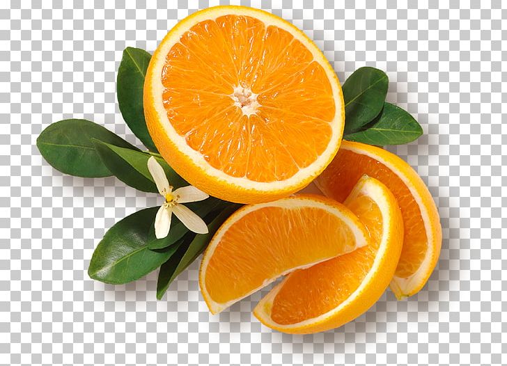 Blood Orange Clementine Tangelo Orange Juice PNG, Clipart, Bitter Orange, Blood Orange, Citric Acid, Citrus, Clementine Free PNG Download