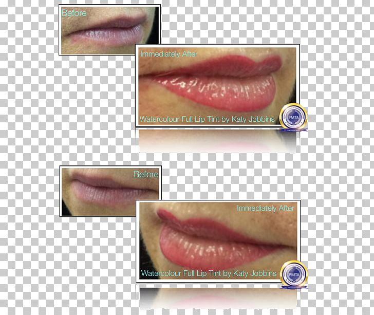 Lip Gloss Close-up PNG, Clipart, Closeup, Eyelash, Jaw, Lip, Lip Gloss Free PNG Download