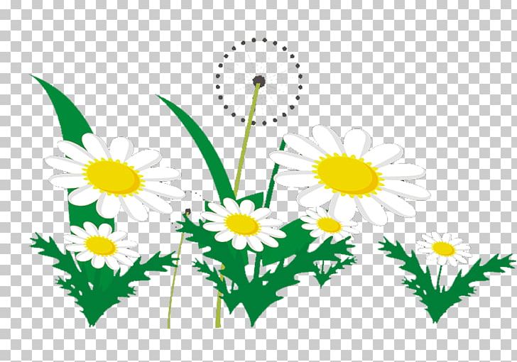 Common Dandelion Chrysanthemum PNG, Clipart, Beautiful, Border, Branch, Chrysanthemum, Chrysanths Free PNG Download