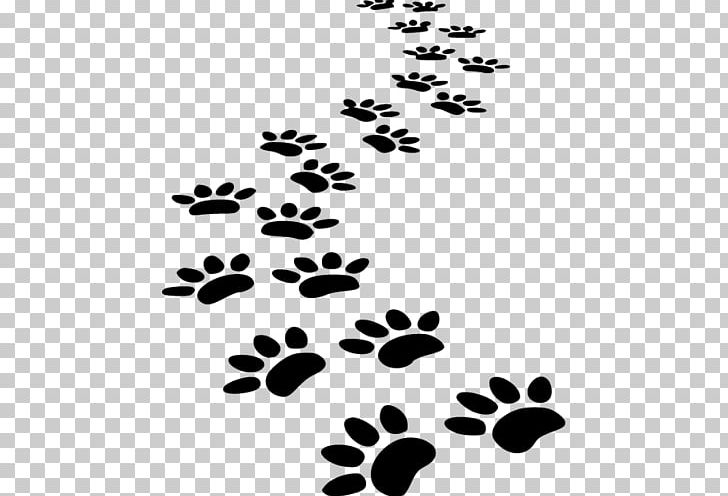 Dog Cat Puppy Pet Sitting Paw PNG, Clipart, Animal, Animals, Black, Black And White, Branch Free PNG Download