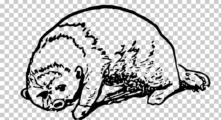 Cat Sea Otter Dog PNG, Clipart, Animal, Animals, Artwork, Badger, Black Free PNG Download