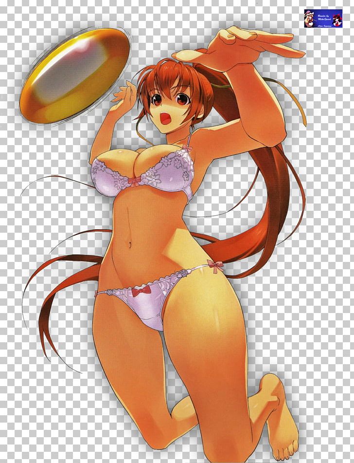Kasumi Dead Or Alive 5 Last Round Dead Or Alive Xtreme 3 Dead Or Alive 5 Plus Dead Or Alive 2 PNG, Clipart, Art, Beach Volley, Beach Volleyball, Brown Hair, Cartoon Free PNG Download