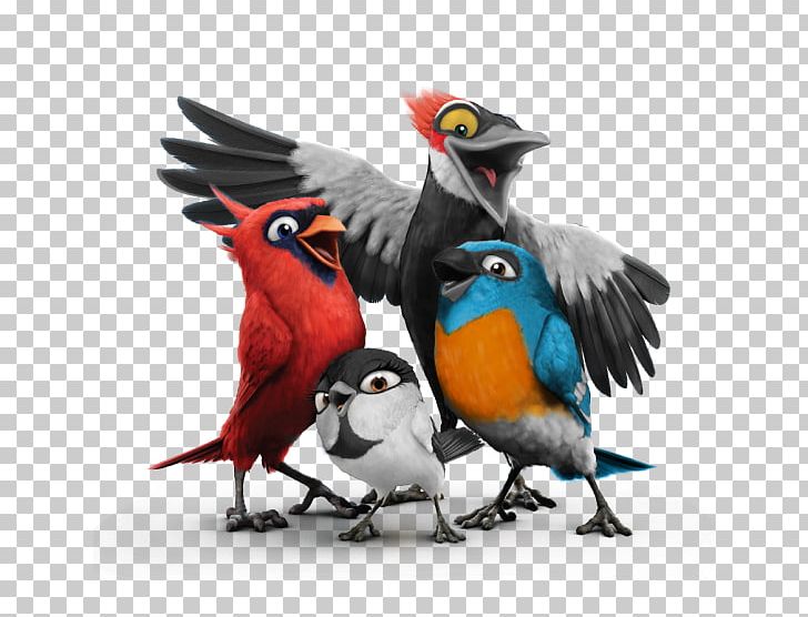 Macaw Bird Feeders Cornell Lab Of Ornithology Nature Study; Birds PNG, Clipart, Animals, Beak, Bird, Bird Egg, Bird Feeders Free PNG Download