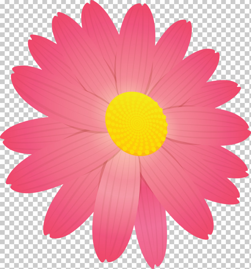 Marguerite Flower Spring Flower PNG, Clipart, Barberton Daisy, Camomile, Chamomile, Daisy, Daisy Family Free PNG Download