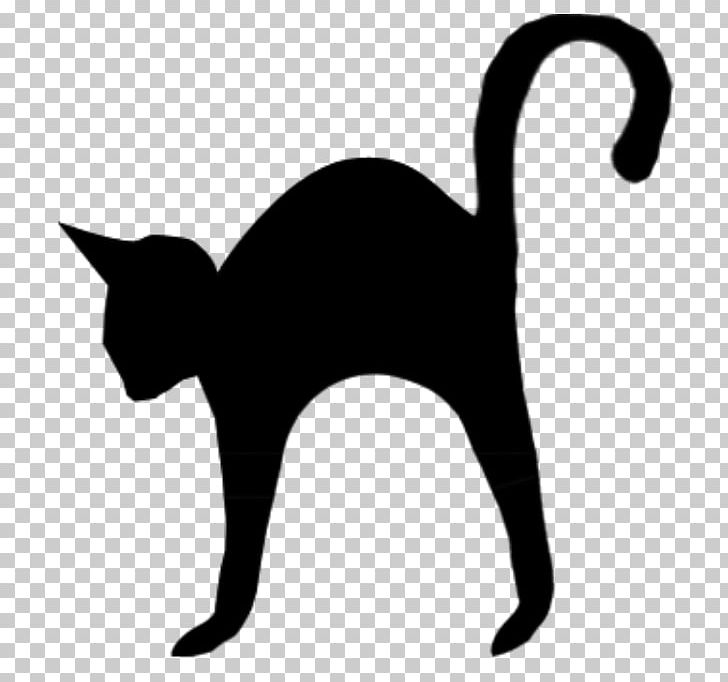 Black Cat Kitten Drawing PNG, Clipart, Animals, Black, Black And White, Black Cat, Carnivoran Free PNG Download