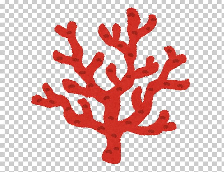 Coral Reef いらすとや Red Coral PNG, Clipart, Animal, Branch, Color, Coral, Coral Reef Free PNG Download