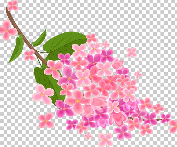Pink Flowers Floral Design PNG, Clipart, Art, Background Vector, Blossom, Branch, Cherry Blossom Free PNG Download
