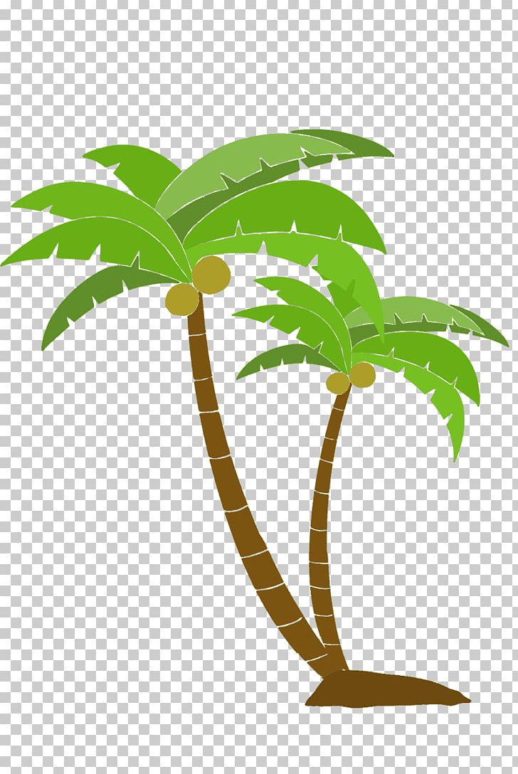 Arecaceae Tree Woody Plant PNG, Clipart, Arecaceae, Arecales, Coconut Tree, Flowerpot, Leaf Free PNG Download