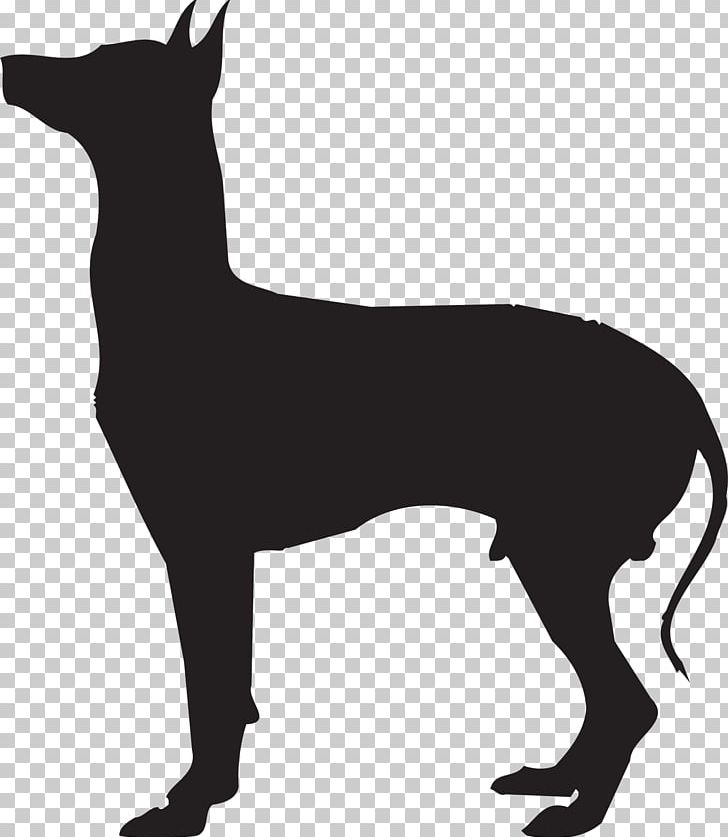 Dog Breed Mexican Hairless Dog Peruvian Inca Orchid German Pinscher Cat PNG, Clipart, Animal, Animals, Assistance Dog, Black And White, Breed Free PNG Download