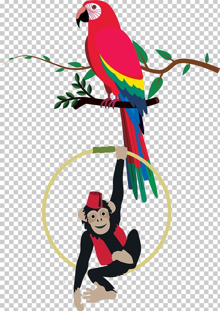 Macaw Beak Parakeet Pet PNG, Clipart, Beak, Bird, Branch, Common Pet Parakeet, Macaw Free PNG Download