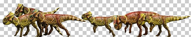 Microceratus Ceratopsia Jurassic Park Metriacanthosaurus Suchomimus PNG, Clipart, Apatosaurus, Ceratopsia, Cretaceous, Dinosaur, Fictional Character Free PNG Download