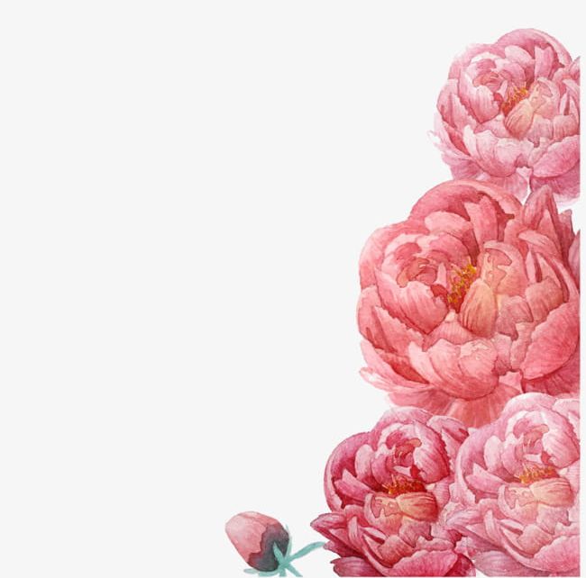 Pink Flowers Illustration PNG, Clipart, Big, Big Red Flower, Decoration, Flower, Flowers Free PNG Download