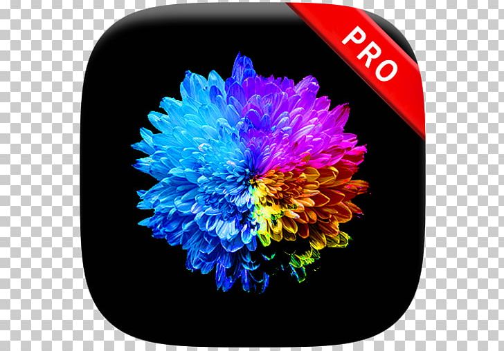 Samsung Galaxy S8 Samsung Galaxy S9+ Android Google Play PNG, Clipart, 4 K, Amoled, Android, Chrysanths, Desktop Wallpaper Free PNG Download