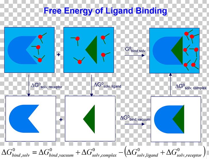 Scoring Functions For Docking Solvation Ligand Energy PNG, Clipart, Angle, Area, Binding Energy, Calculation, Diagram Free PNG Download