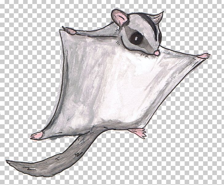 Sugar Glider Mammal Marsupial Rat Animal Alphabet Adventures PNG, Clipart, Alphabet, Animal, Bat, Canidae, Carnivoran Free PNG Download