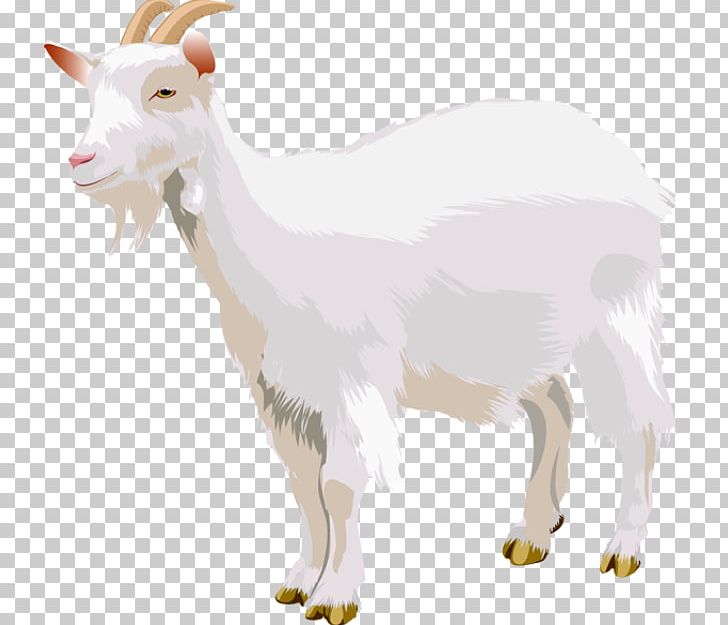 Boer Goat Sheep Three Billy Goats Gruff PNG, Clipart, Animal Figure, Animals, Billy, Boer Goat, Cattle Like Mammal Free PNG Download